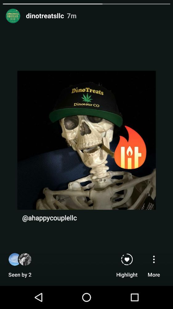 DINOTREATS Updated August 2024 102 Tyrannosaurus Triangle, Dinosaur