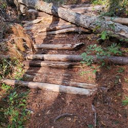 Here is the woodpile near the farthest point in the trail.