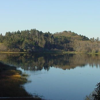 Better Homes and Gardens - Ming Tree - Stone Lagoon, near Orick. - Real Estate Agents Near Me - Eureka, California