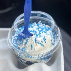Culver's - Vanilla custard with sprinkles