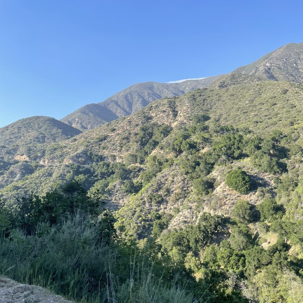 Millard Canyon - Parks Near Me - Altadena, California Millard Canyon - Parks Near Me - Altadena, California