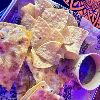 Talkin' Tacos Temple Terrace - Mexican Near Me - Tampa, Florida Talkin' Tacos Temple Terrace - Mexican Near Me - Tampa, Florida