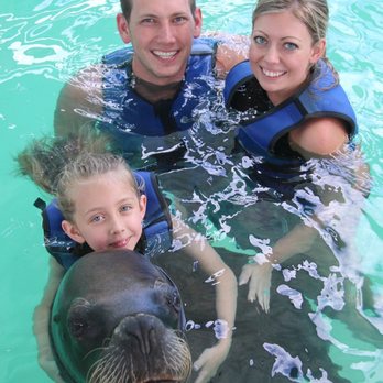 Coral World Ocean Park - Sea lion swim - Aquariums Near Me - St Thomas, Virgin Islands Coral World Ocean Park - Sea lion swim - Aquariums Near Me - St Thomas, Virgin Islands