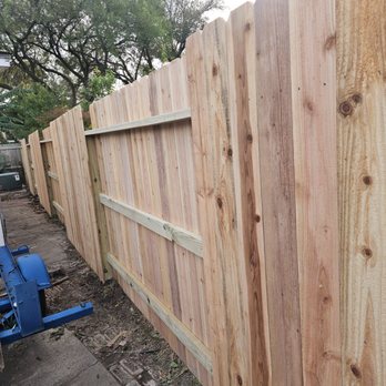 Professional Tree Services - Tree Services Near Me Professional Tree Services - Tree Services Near Me