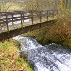 Dare Valley Park - Dare Valley Park, Aberdare