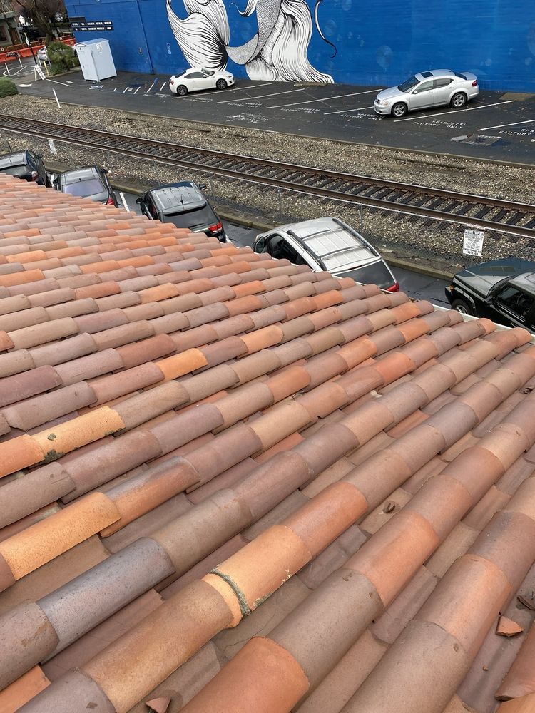 Slide of Vintage Roof Tile