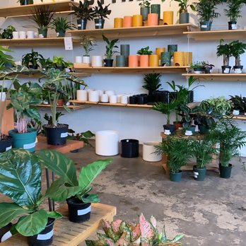 Art Terrarium - Nurseries & Gardening Near Me - Des Moines, Iowa Art Terrarium - Nurseries & Gardening Near Me - Des Moines, Iowa