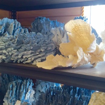 Shell Bazaar - Blue sponge & coral fan-2017 - Home Decor Near Me - Port Saint Lucie, Florida