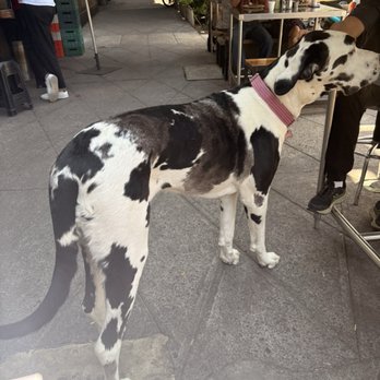 Tacos Don Juan - Tacos Near Me - México, D.F., DIF Tacos Don Juan - Tacos Near Me - México, D.F., DIF