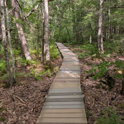 Saco Heath Preserve