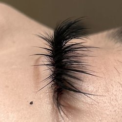 Beauty Eyelashes