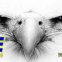 Eagle Wrecker & Towing