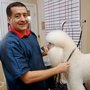 Photo of Loving Care Pet Services