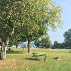 Malletts Bay Campground - View from the front tent sites!