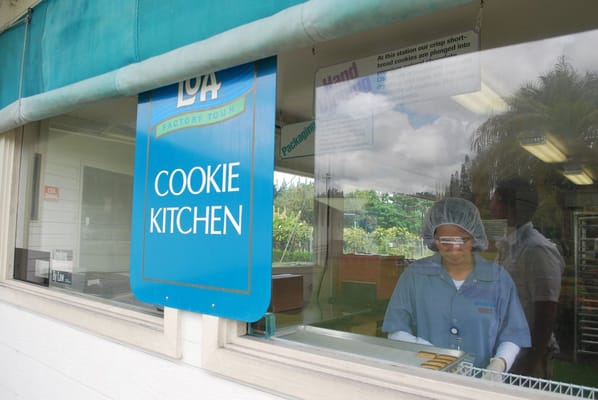 Mauna Loa Macadamia Nut Visitor Center by null