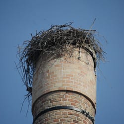 Schloß Börnicke