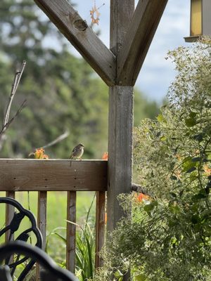 Dream Cloud Coffee Roasters by null