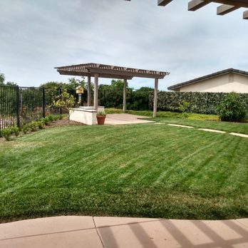 Plugged In Lawn Care - a pergolated area - Lawn Services Near Me Plugged In Lawn Care - a pergolated area - Lawn Services Near Me