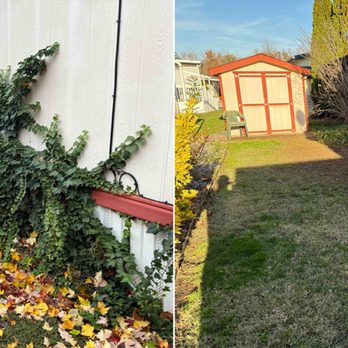 Code Green Mowers - Before after - Lawn Services Near Me - Medford, Oregon Code Green Mowers - Before after - Lawn Services Near Me - Medford, Oregon
