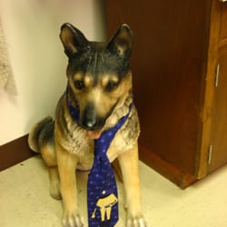 MD Police Supply - our watch dog