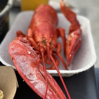Terrace Tavern - Lobster - Bars Near Me - Beach Haven, New Jersey Terrace Tavern - Lobster - Bars Near Me - Beach Haven, New Jersey
