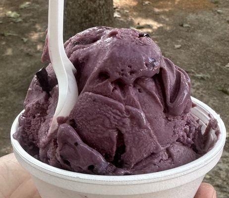 Lone Oak Ice Cream by null