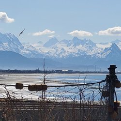 White House Inn on the Waterfront - Relaxing in the sun with this view of the Homer Spit and mountains.