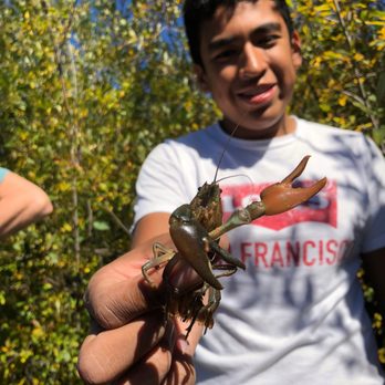 Mount St Helens Institute - A STEM Field Ecology student explores aquatic life. - Hiking Near Me - Amboy, Washington Mount St Helens Institute - A STEM Field Ecology student explores aquatic life. - Hiking Near Me - Amboy, Washington
