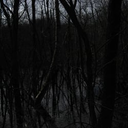 Nincoper Moor