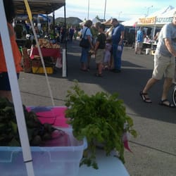 Southridge Farmers Market - Cilantro fresco