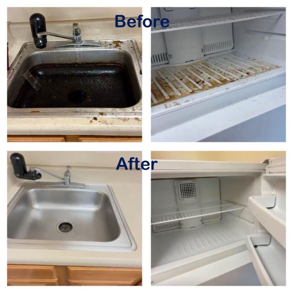 Maid Amazing - veterans service organization in Washington, DC, DC