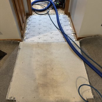 Steam-Vac Carpet Cleaners - Clean backside carpet cleaning - Carpet Cleaning Near Me Steam-Vac Carpet Cleaners - Clean backside carpet cleaning - Carpet Cleaning Near Me