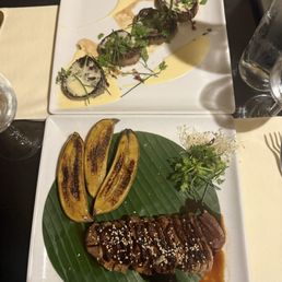 Top was a lamb dish, bottom Duck Top was a lamb dish, bottom Duck