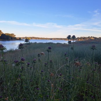 Folsom Lake Peninsula Campground - Oaks Nature Trail, which is entirely inside of the campground - Boating Near Me - Pilot Hill, California