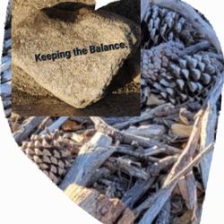 Encompassing the balance of twigs, pinecones and rock all part of San Antonio Par,k in Upland's natural environment