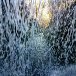 Salmon Creek Trail - Behind the falls