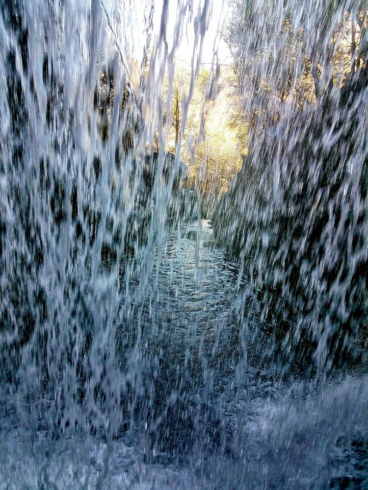 Salmon Creek Trail Logo