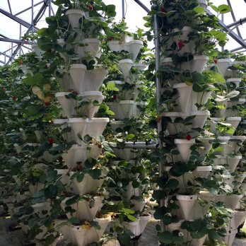 The Berry Barn - Breakfast & Brunch Near Me - Corman Park, Saskatchewan
