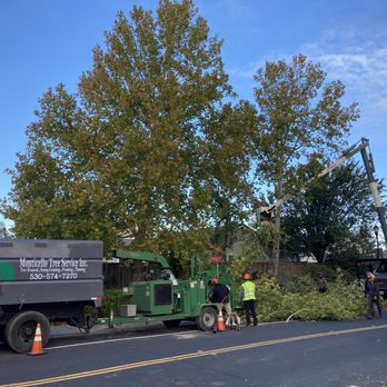 Monticello Tree Service - Large chipper that can handle complete tree including trunk. - Tree Services Near Me Monticello Tree Service - Large chipper that can handle complete tree including trunk. - Tree Services Near Me
