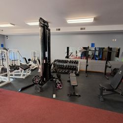 Reese Health & Fitness in Reese gift card