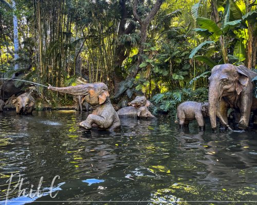 Jungle Cruise by null