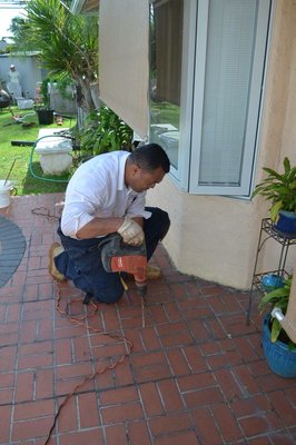Subterranean Termite (Ground) Treatments - Subterranean (Ground) Termites cause over $100 million dollars of damage in Hawaii each year. Kilauea Pest offers Sentricon Always Active Termite Bait System and Liquid Barrier Ground Treatments to treat and prevent Ground Termites from eating your largest investment, your home. We offer free consultations and great guarantees!