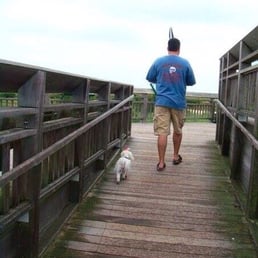 Bird watching from the observation deck. Daddy and Zoe Girl Bird watching from the observation deck. Daddy and Zoe Girl