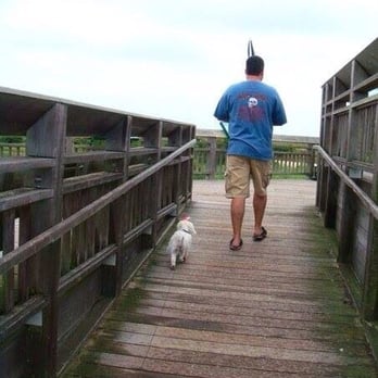 Cape May Point State Park - Bird watching from the observation deck. Daddy and Zoe Girl - Parks Near Me Cape May Point State Park - Bird watching from the observation deck. Daddy and Zoe Girl - Parks Near Me