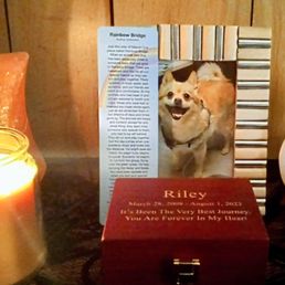 Always in my heart, Mr. Riley