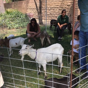 Party Ponies And Pets - Kids Activities Near Me - Pinon Hills , California Party Ponies And Pets - Kids Activities Near Me - Pinon Hills , California