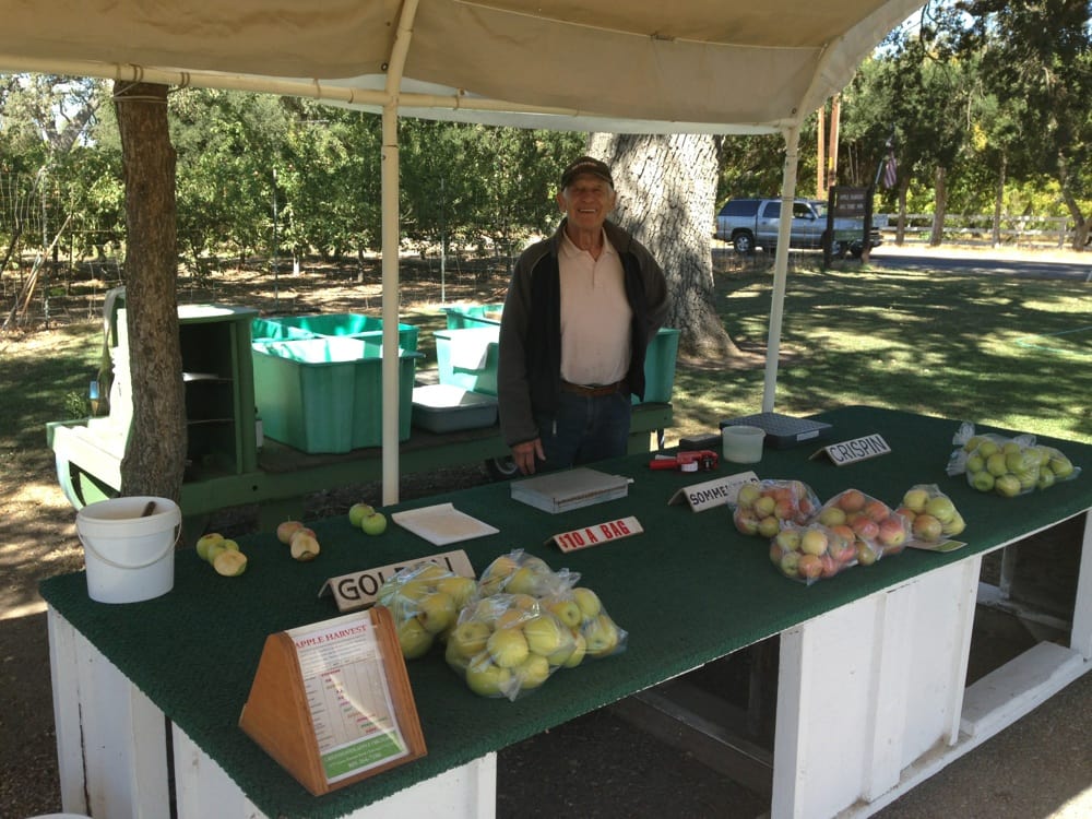Ditmar's Orchard & Vineyard Logo