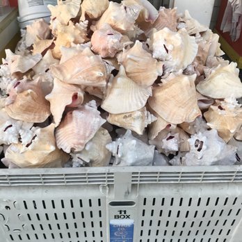Florida Citrus Center Inc # 30 - Conch's $17 - Candy Stores Near Me - Ocala, Florida Florida Citrus Center Inc # 30 - Conch's $17 - Candy Stores Near Me - Ocala, Florida