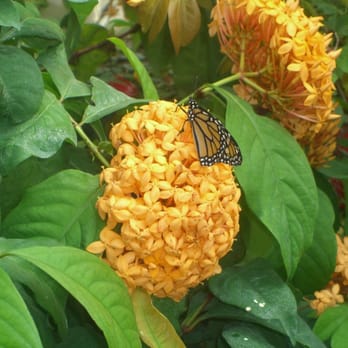 Peggy Notebaert Nature Museum - Museums Near Me - Chicago, Illinois Peggy Notebaert Nature Museum - Museums Near Me - Chicago, Illinois