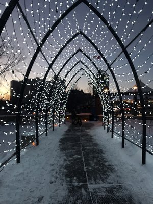 The Forks National Historic Site by null